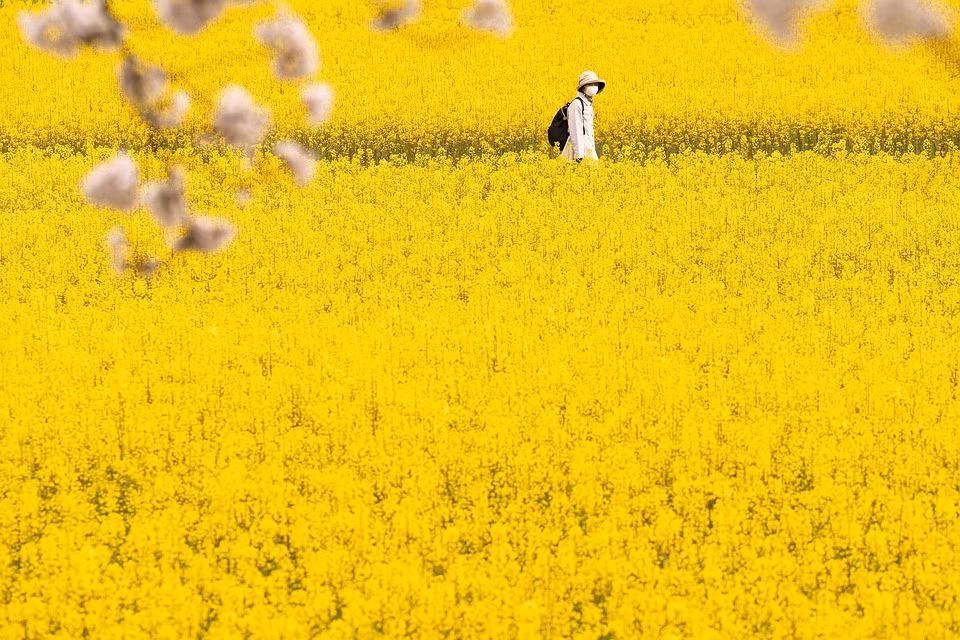 Thang 3 khong ap luc, 4 con giap tan tam gat hai thanh cong-Hinh-3