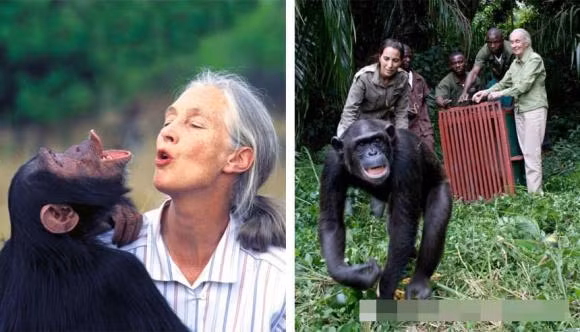 7 loai vat co the coi la anh hung trong lich su nhan loai-Hinh-7