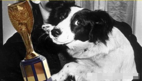 7 loai vat co the coi la anh hung trong lich su nhan loai