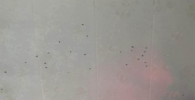 No sung ban thung cua nha dan luc rang sang o Hai Duong-Hinh-3