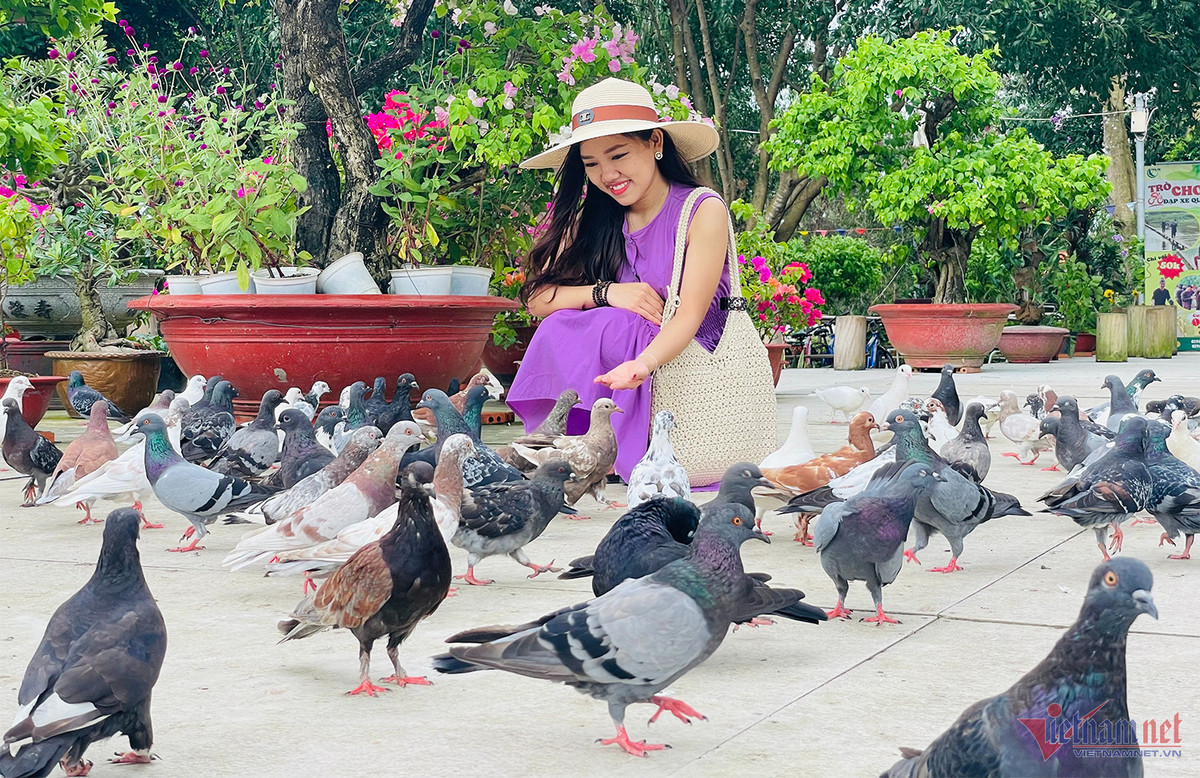 Sau khi “cập bến”, du khách đừng quên thưởng thức thưởng thức các món ăn đặc sản vùng Thất Sơn (An Giang) như cá lóc nướng trui, gà nướng, lẩu mắm, cá linh kho mía,… do chính người dân bản địa chế biến.