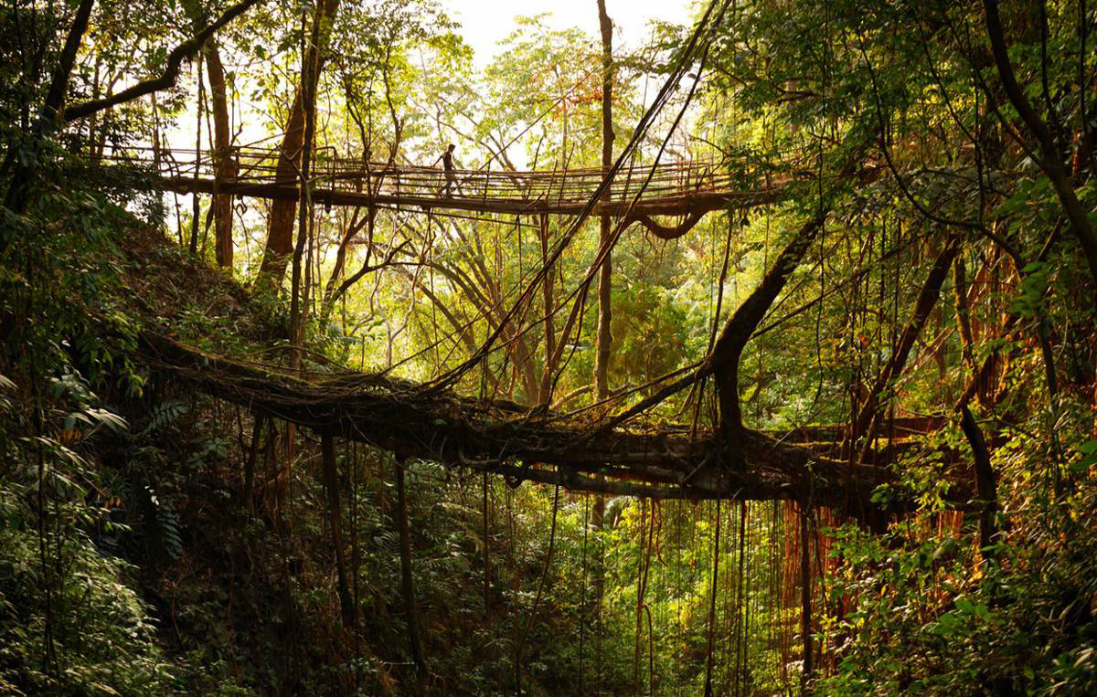 Tuy rằng mưa kéo dài gần như quanh năm nhưng cuộc sống vẫn luôn tiếp tục với họ. Theo India Times.