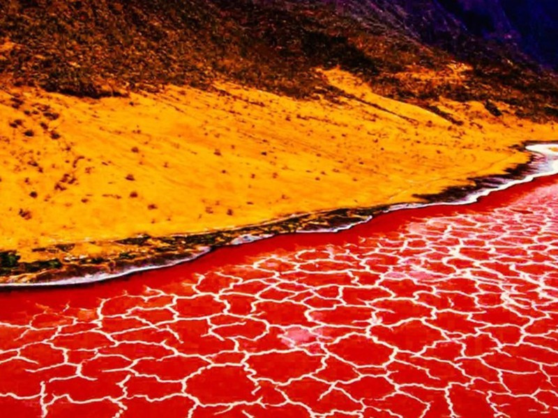 Nằm ở vùng Arusha ở Tanzania, hồ Natron có nhiệt độ nước lên đến 60 độ C và độ pH dao động trong khoảng 9-10,5 do muối quá bão hòa. Hồ này có thể vôi hóa xác chết, đốt cháy da động vật và con người…