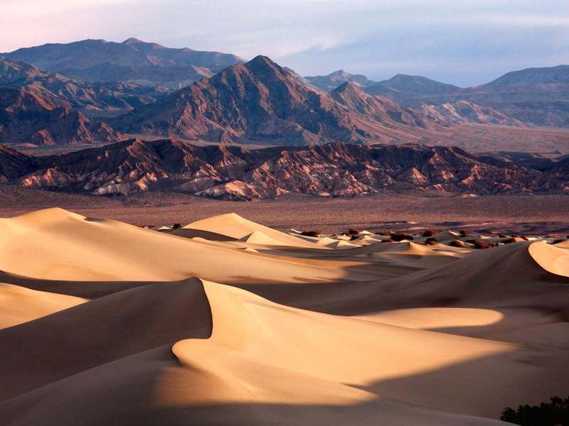 Thung lũng chết nằm ở biên giới California và Nevada là một trong những nơi khắc nghiệt nhất trên Trái đất. Nó nổi tiếng với nhiệt độ trung bình 42 độ C và không có bất kỳ loài thực vật hoặc động vật nào sống nổi.