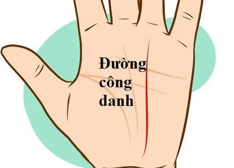 Dự đoán sự nghiệp, tiền tài qua đường công danh trong lòng bàn tay Du doan su nghiep, tien tai qua duong cong danh trong long ban tay