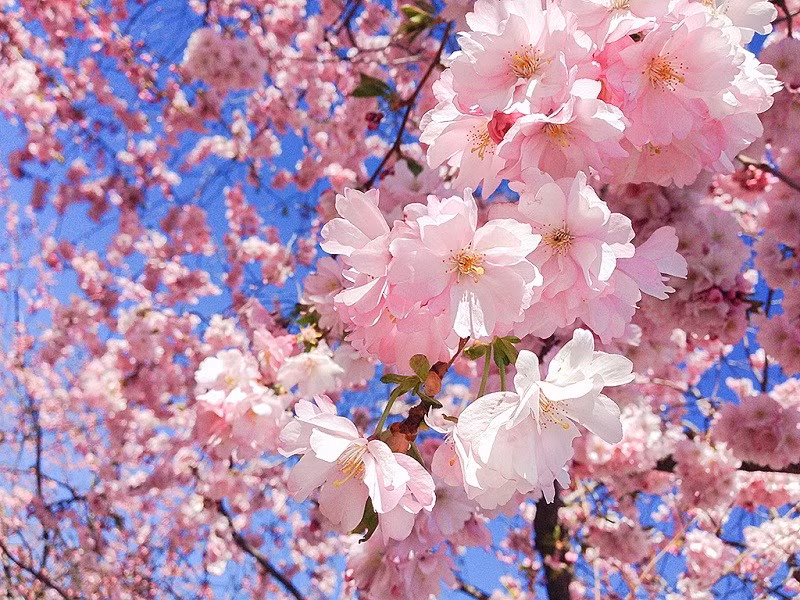 Tu 26 Am lich, 3 con giap lam an hot bac, phu quy giau sang