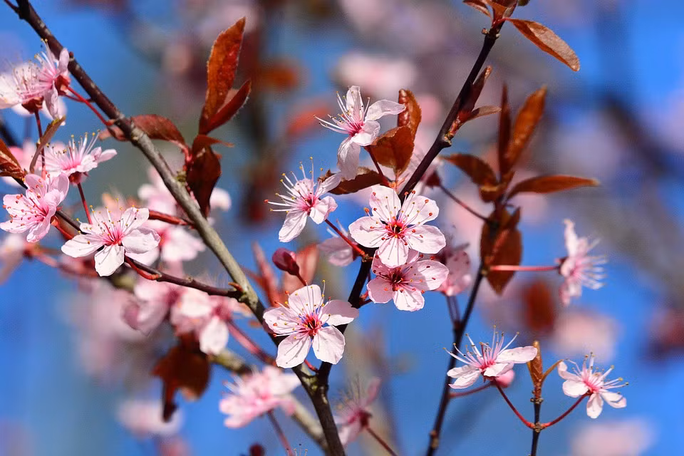 Tu 26 Am lich, 3 con giap lam an hot bac, phu quy giau sang-Hinh-3