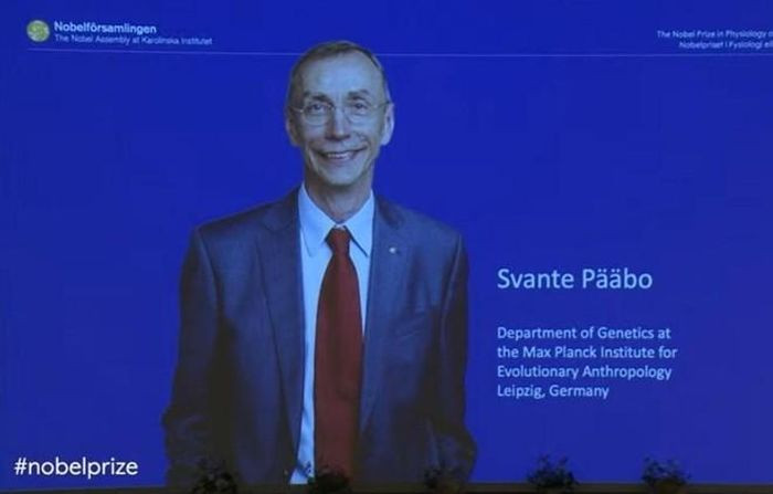 Giai Nobel Y sinh 2022 vinh danh nha nghien cuu su tien hoa loai nguoi