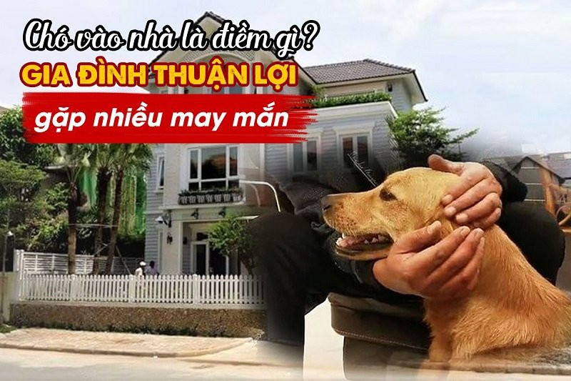 Đầu năm gặp 5 điềm lành này trong nhà dự báo lộc về căng ví Dau nam gap 5 diem lanh nay trong nha du bao loc ve cang vi
