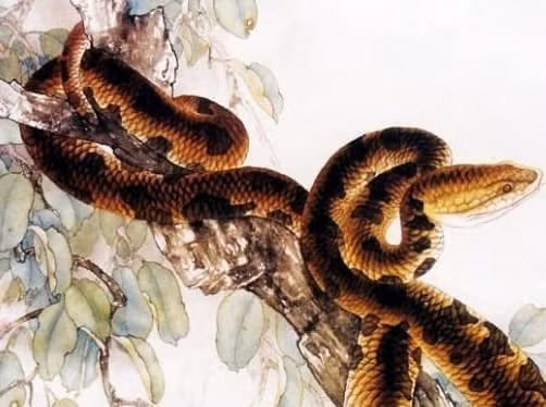 Buoc qua ngay via Than Tai, top 3 con giap thang hoa phat tai-Hinh-3