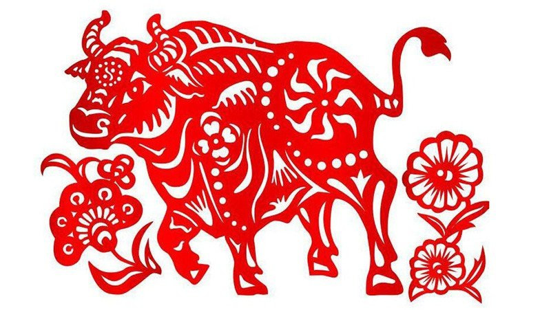 Con giáp này không thích nói nhiều mà sẽ chứng minh tất cả bằng hành động. Khi có được bước tiến lớn trong sự nghiệp, tích lũy được nhiều của cải, tuổi Sửu vẫn sống giản dị, chân thành, sẵn sàng giúp đỡ những người khác.