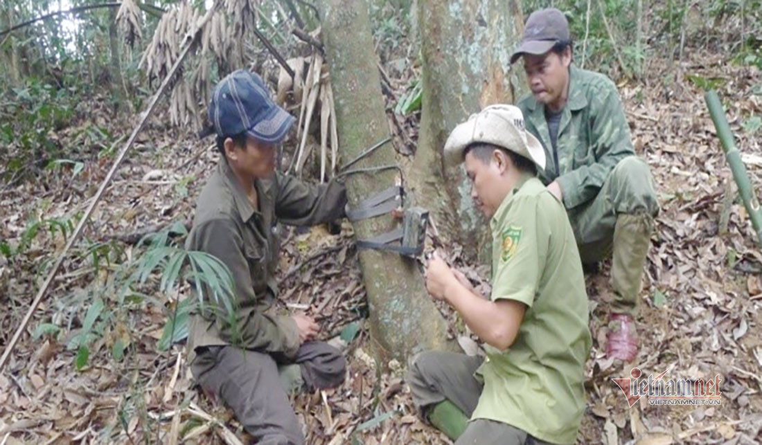 Chuyen ve buc anh duy nhat chup ca the ho rung o Viet Nam-Hinh-4