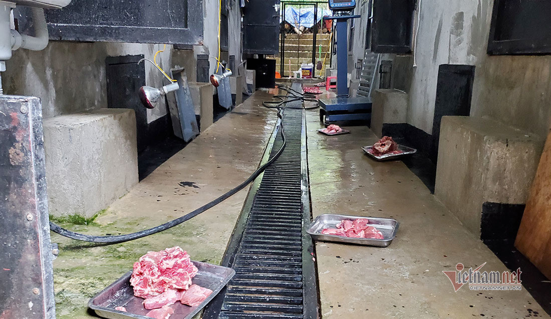 Chuyen ve buc anh duy nhat chup ca the ho rung o Viet Nam-Hinh-16