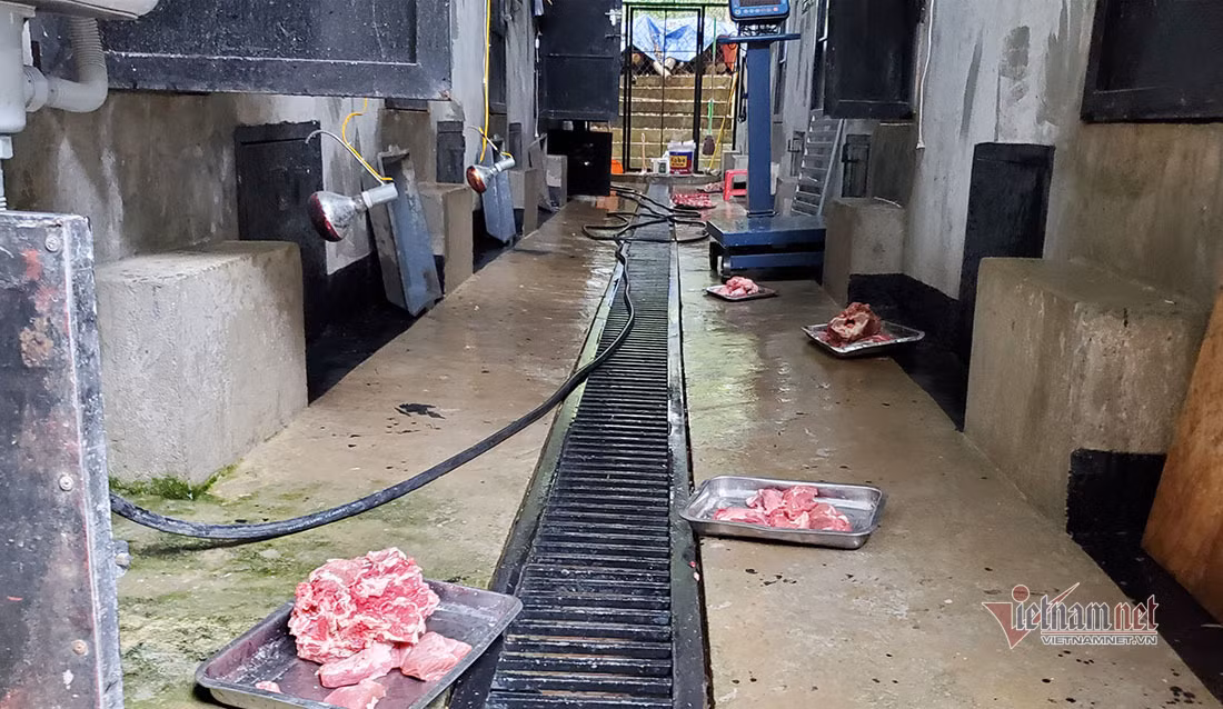 Chuyen ve buc anh duy nhat chup ca the ho rung o Viet Nam-Hinh-16