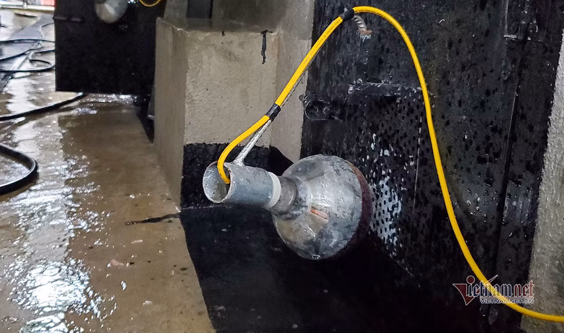 Chuyen ve buc anh duy nhat chup ca the ho rung o Viet Nam-Hinh-17