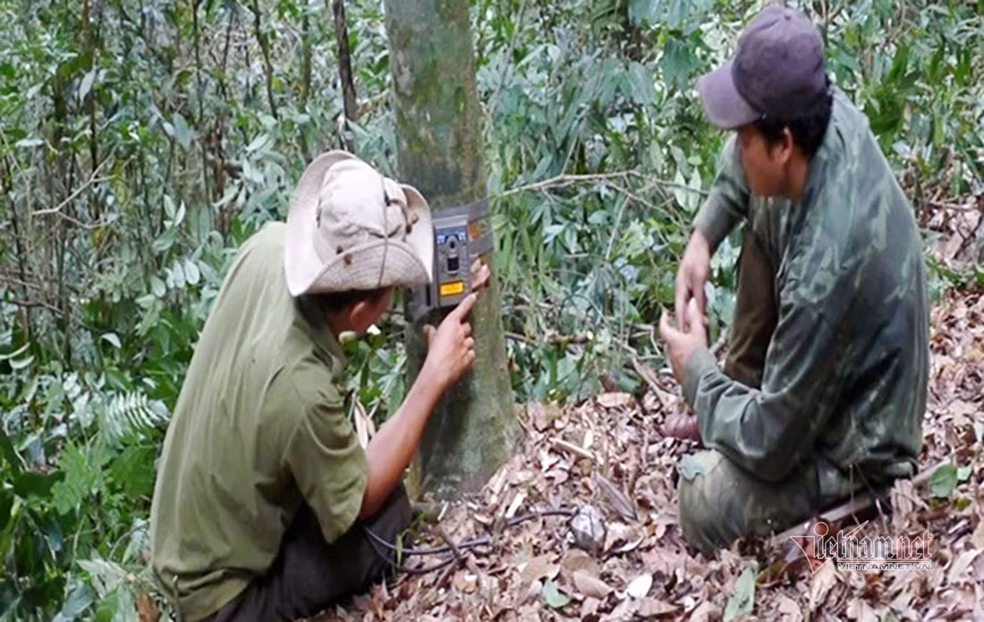 Chuyen ve buc anh duy nhat chup ca the ho rung o Viet Nam-Hinh-3