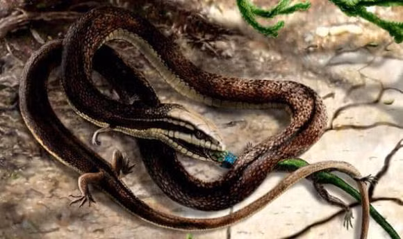 Tuổi Tỵ. Tỵ vốn thông minh nhanh nhẹn hơn người, nếu khôn khéo lại có chí tiến thủ nên Tỵ nhất định sẽ làm giàu thành công làm nên sự nghiệp hơn người.