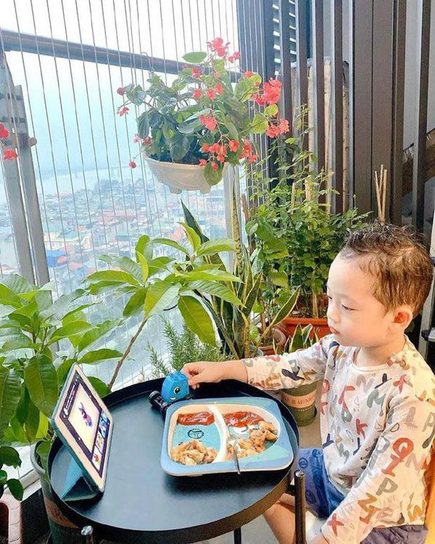 ốn là người yêu thích thiên nhiên, cây cỏ nên 2 mẹ con cũng trồng nhiều hoa ngoài ban công.