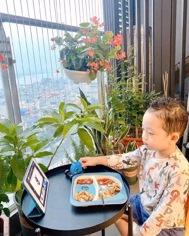 Vốn là người yêu thích thiên nhiên, cây cỏ nên 2 mẹ con cũng trồng nhiều hoa ngoài ban công.
