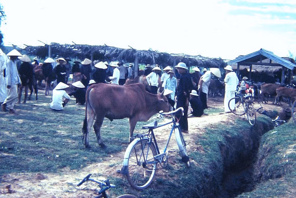 Khung cảnh tại khu chợ bán gia súc ở địa phương.