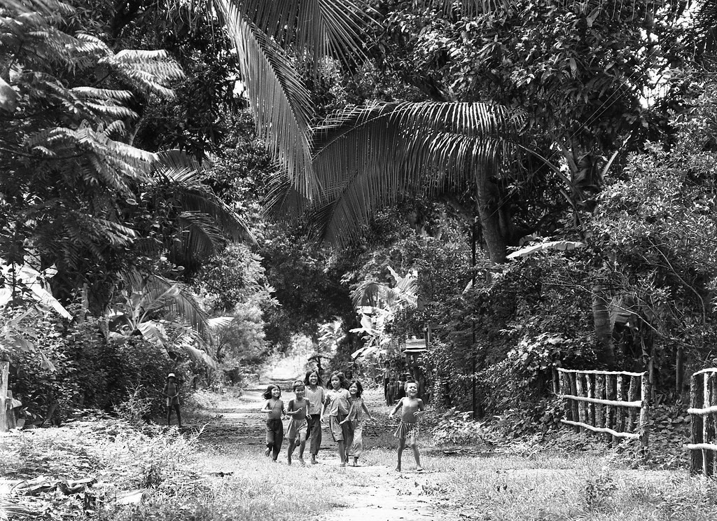 Trẻ em Việt vui đùa trong khung cảnh thôn quê yên bình.