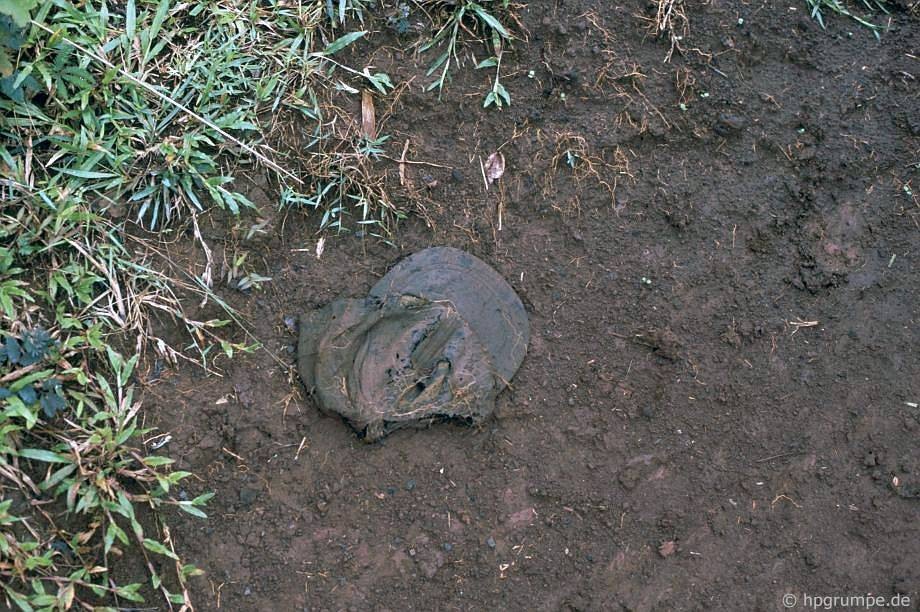 Một chiếc mũ lưỡi trai cũ nát, trông khá giống với loại mũ lính Mỹ dùng thời chiến tranh Việt Nam.