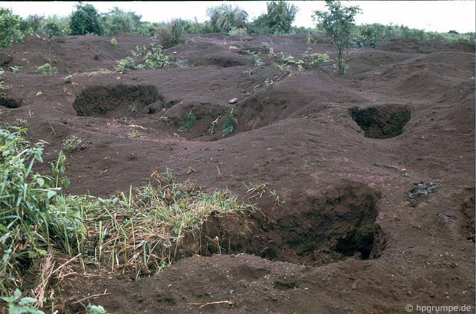 Cận cảnh một số hố đào phế liệu.