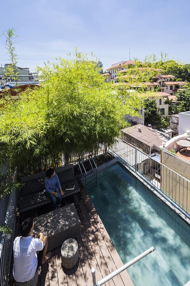 Bể bơi và ghế đọc sách đặt dưới bóng mát của tre trồng trên sân thượng.