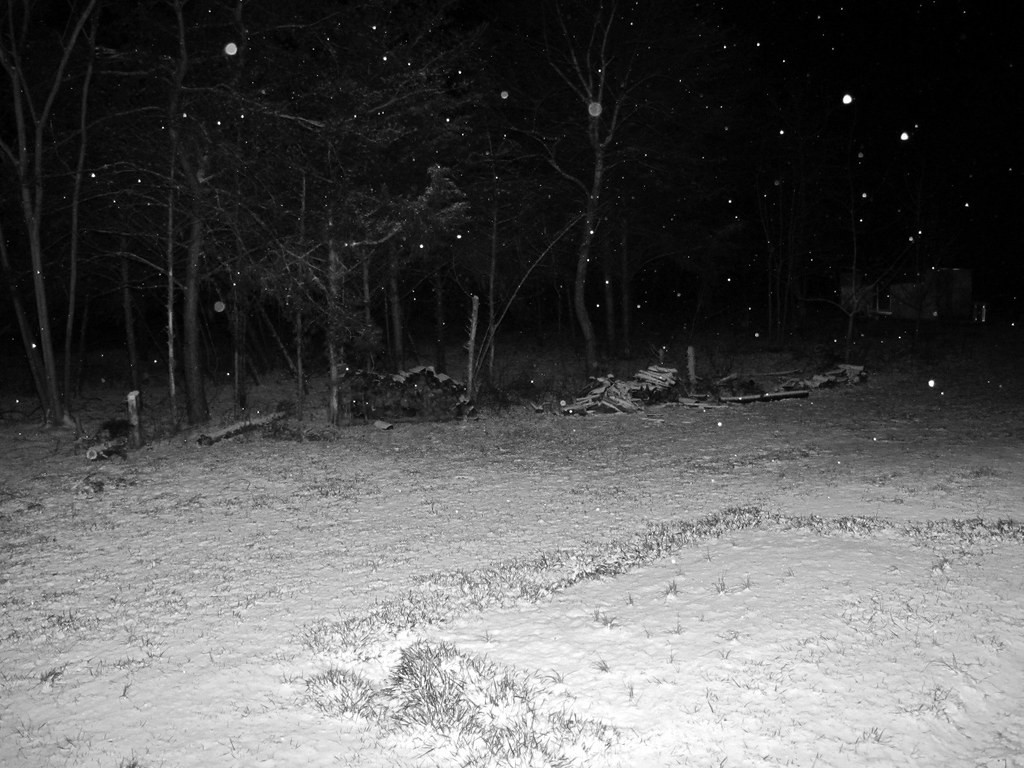 Để “thí nghiệm” về ngưỡng chịu lạnh của con người, các tù nhân đã bị lột quần áo và đẩy ra ngoài tuyết lạnh. Các phản ứng của cơ thể và diễn biến của cái chết sau đó được các chuyên gia của Himmler ghi lại cẩn thận.