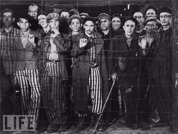 Theo các hồ sơ được phát hiện, ít nhất 400 thí nghiệm kinh hoàng đã được Himmler cho tiến hành với hàng ngàn tù nhân Do Thái ở mọi độ tuổi, thể trạng, cả nam và nữ.