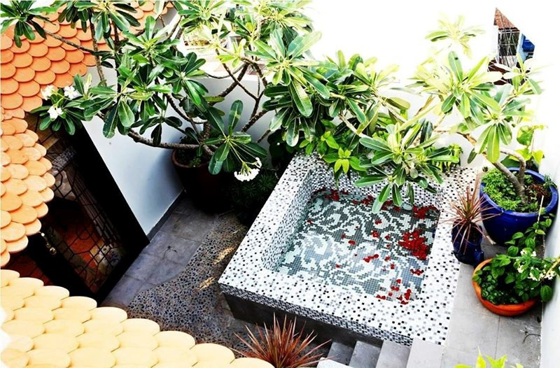 Tuy nhiên, trước Tết, Thúy Nga vừa cho sửa chữa lại ngôi nhà theo ý của mẹ đẻ. Thúy Nga chia sẻ: "Ngày trước, bạn bè ai bước vào nhà tôi cũng nói: "Nhà đẹp và xanh tươi mát mắt quá!" vì góc nào cũng có cây cối um tùm hết. Còn mẹ tôi thì nói: "Cô trồng cây khắp nhà để nuôi muỗi à". Thế là từ dạo ấy, tôi dẹp hết cây để chiều lòng mẹ.