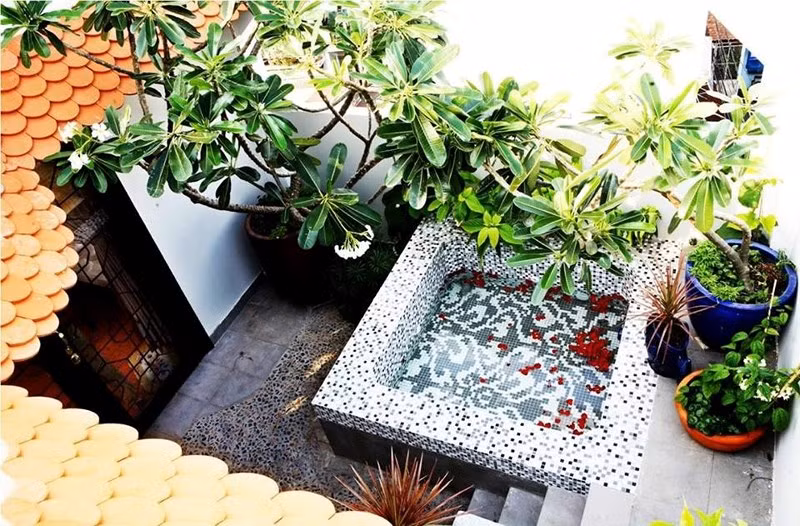 Tuy nhiên, trước Tết, Thúy Nga vừa cho sửa chữa lại ngôi nhà theo ý của mẹ đẻ. Thúy Nga chia sẻ: "Ngày trước, bạn bè ai bước vào nhà tôi cũng nói: "Nhà đẹp và xanh tươi mát mắt quá!" vì góc nào cũng có cây cối um tùm hết. Còn mẹ tôi thì nói: "Cô trồng cây khắp nhà để nuôi muỗi à". Thế là từ dạo ấy, tôi dẹp hết cây để chiều lòng mẹ.