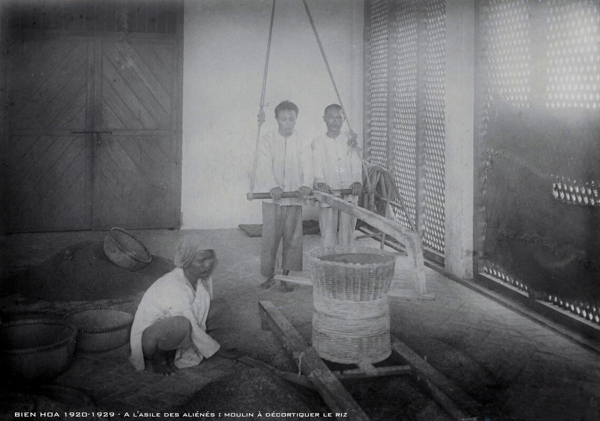 Một nhóm bệnh nhân thực hiện công việc xay lúa.