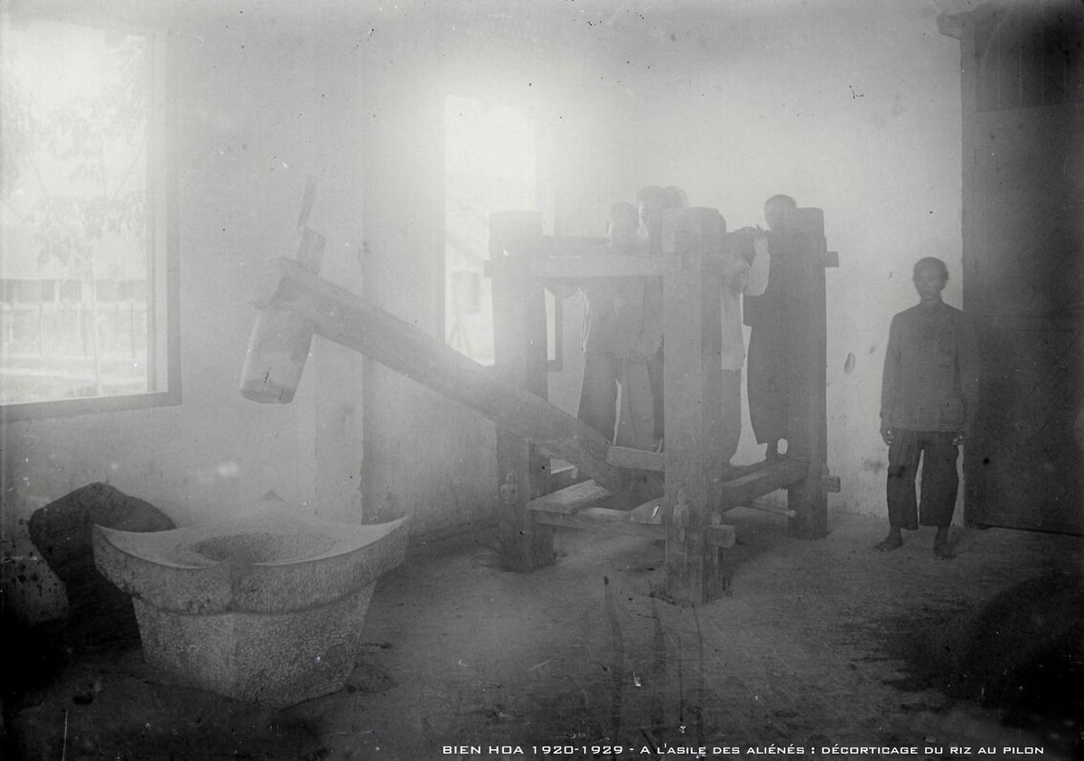 Giã gạo bằng cối.