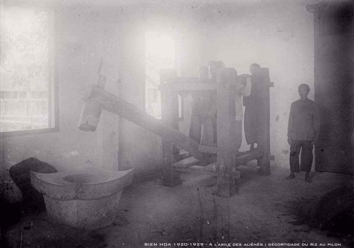 Giã gạo bằng cối.