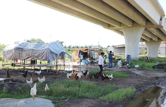 Theo hai vợ chồng giữ kho, hiện nhà thầu đang nợ lương của họ khoảng 50 triệu đồng. Trước đó, họ cũng phải bỏ tiền túi ra nuôi cơm các công nhân và cho họ mượn tiền về quê. "Sáng nay, ông ấy gọi điện hỏi nhà thầu thì nghe nói sẽ đưa cho 1 triệu đồng xài tạm, chứ cũng chưa nghe hứa hẹn", bà vợ cho biết. Hiện hai vợ chồng tự nuôi gà, nuôi cá sống qua ngày, ăn ngủ cũng không yên vì phải canh trộm (đã từng bị mất trộm vật liệu).