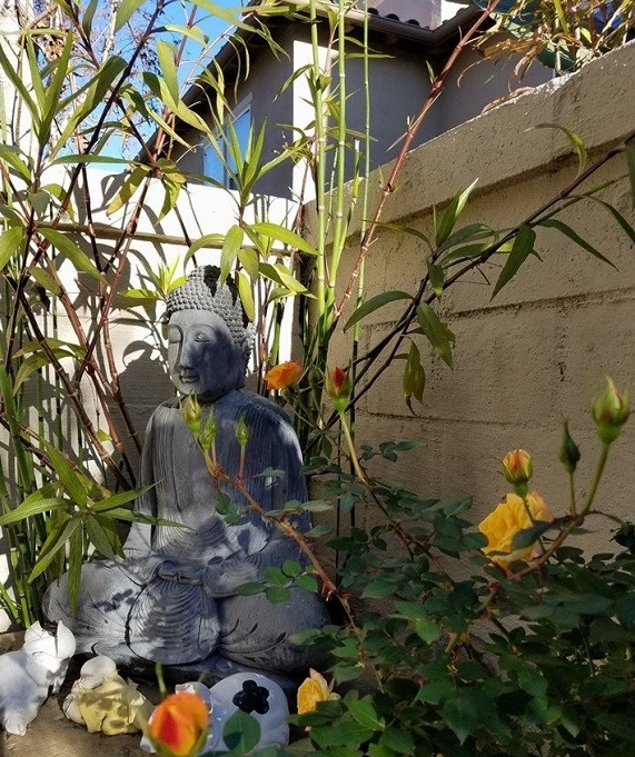 Ngoài ra, xung quanh ngôi nhà vợ chồng nghệ sĩ trồng nhiều loại hoa và một bức tượng Phật được đặt trong khuôn viên tạo cảm giác thanh tịnh, an nhàn.