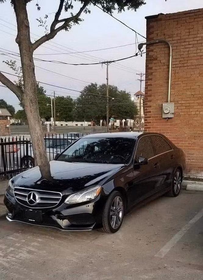 Đậu xe lâu đến nỗi mọc cây hay đơn thuần là ảo ảnh thị giác?