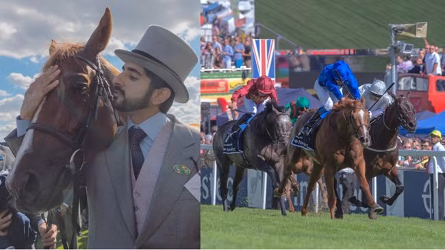 Cưỡi ngựa là sở thích của thái tử Sheikh Hamdan từ khi còn nhỏ. Thái tử đã giành được các danh hiệu ở một số giải vô địch cưỡi ngựa quốc tế và khu vực. Ngoài ra, thái tử Sheikh Hamdan cũng thường xuyên đi du lịch nhiều nơi trên thế giới...