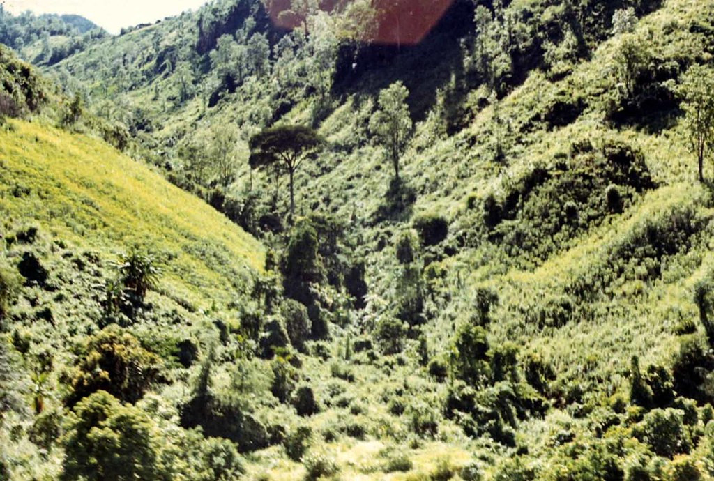 Một thung lũng hoang vu ở An Lão, Bình Định nhìn từ máy bay.