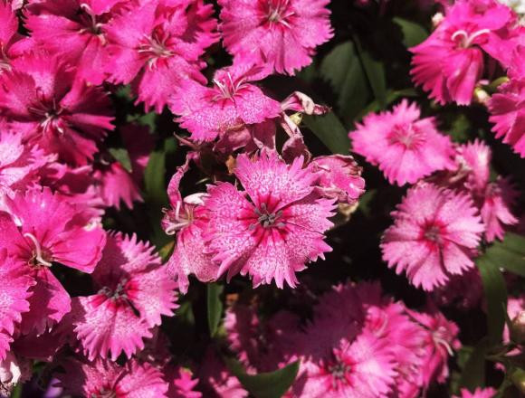 Nguoi sinh ngay nay la 