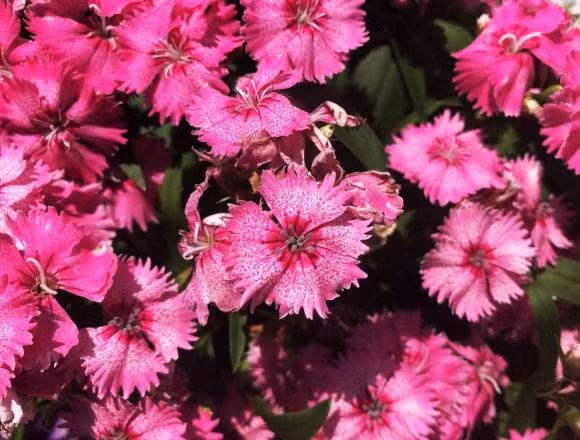 Nguoi sinh ngay nay la 