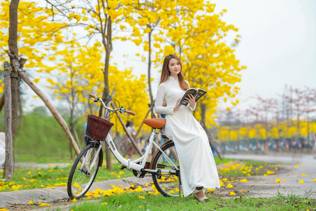 Diện áo dài trắng tinh khôi, cô nàng khoe nhan sắc dịu dàng, thanh khiết giữa những chùm hoa phong linh tuyệt đẹp.