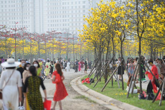 Được mệnh danh là con đường hoa hot nhất Hà Nội ở thời điểm hiện tại nhưng do số người dân đến tham quan và chụp ảnh quá đông, không đảm bảo công tác phòng chống dịch COVID-19, chủ đầu tư đã quyết định đóng cửa con đường hoa này từ ngày 19/3.