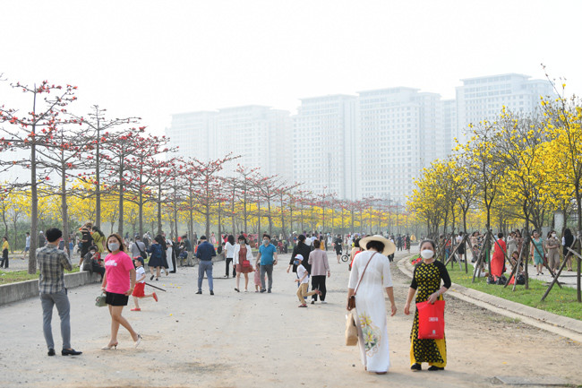 Nếu các bạn trẻ muốn có ảnh ở khu trung tâm, nơi hoa phong linh nở rộ thì không tránh được việc bức ảnh của mình có sự xuất hiện của người khác.