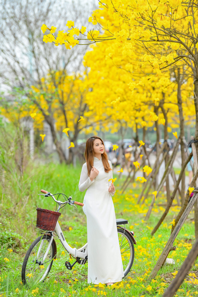 Cả bầu trời hoa phong linh vàng rực là địa điểm lý tưởng để các cô gái cùng bạn bè, người thân đến "sống ảo".