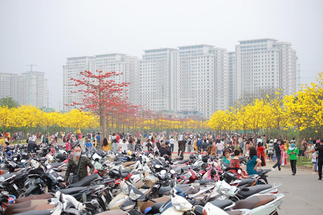 "Trong trường hợp này thì kỹ năng chụp ảnh và gu thẩm mỹ của nhiếp ảnh gia rất quan trọng. Không hẳn cứ đứng ở nơi hoa nở rộ nhất, quang cảnh đẹp nhất thì mới có thể cho ra bức ảnh đẹp. Nếu biết cách chụp, dù mẫu đứng ở nơi chỉ có lác đác một vài cây hoa cũng có thể có ảnh vừa ý", anh Bách chia sẻ.