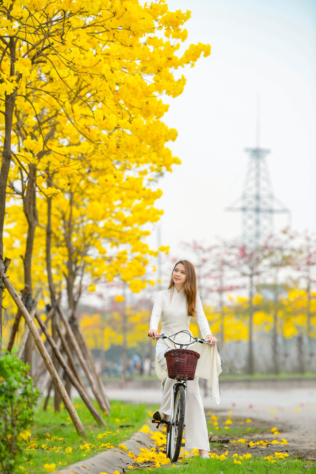 Dù đã biết trước con đường phong linh qua những bức ảnh trên mạng xã hội nhưng khi đến nơi, Đỗ Thu vẫn bị choáng ngợp trước vẻ đẹp của nó.