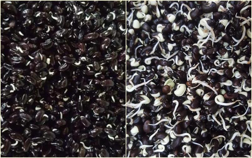 Mot loai nuoc neu uong hang ngay, yen tam dep tu trong ra ngoai!-Hinh-4