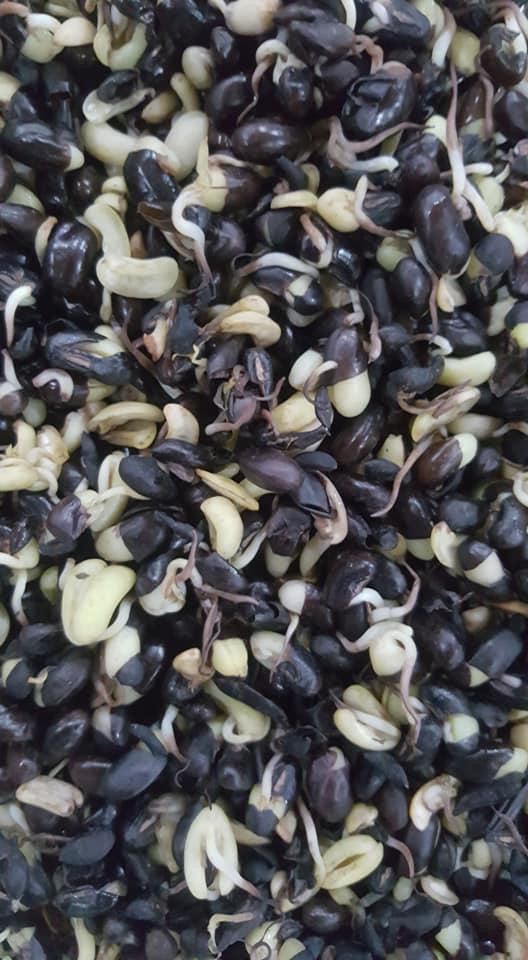 Một loại nước nếu uống hàng ngày, yên tâm đẹp từ trong ra ngoài! - Hình 7 Mot loai nuoc neu uong hang ngay, yen tam dep tu trong ra ngoai!-Hinh-7